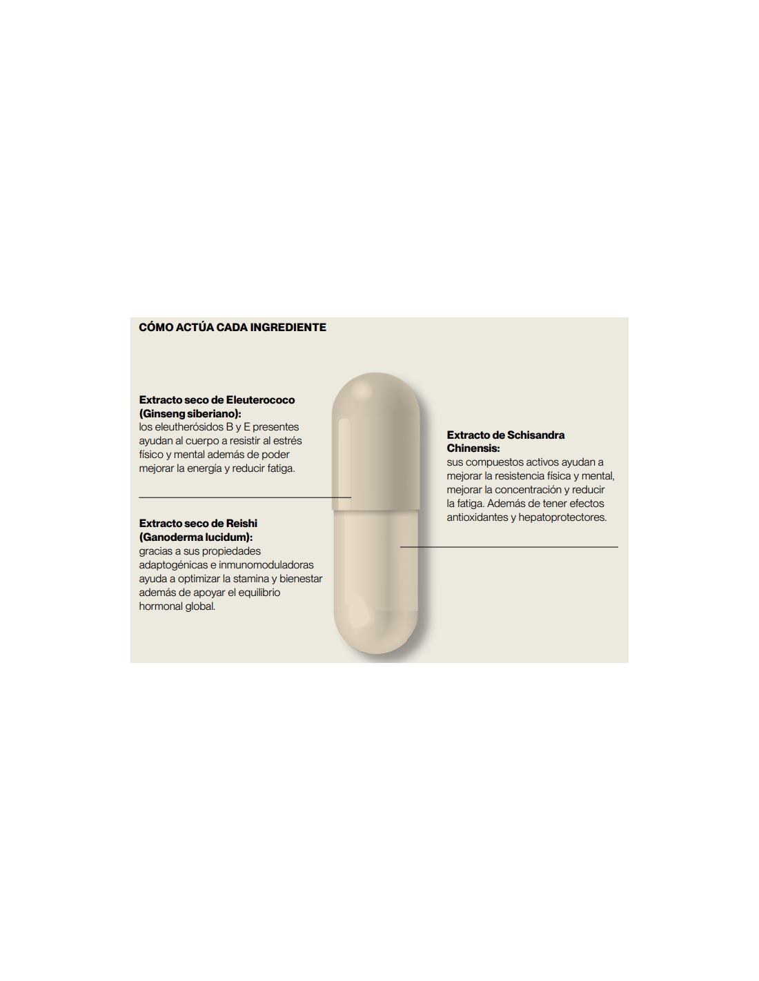 IVB STRESS OFF 60 cápsulas