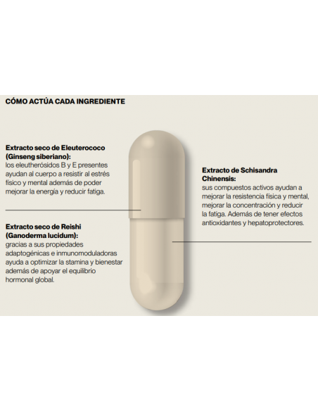 IVB STRESS OFF 60 cápsulas