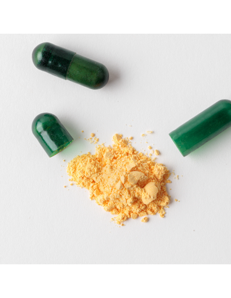 ARTURO ALBA CHRONOS AETERNUM CÁPSULAS