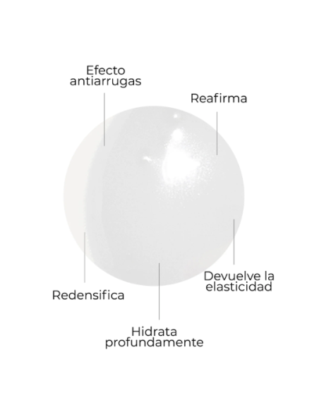 SEGLE PACK ESPECIAL SKIN FACTOR CREMA 50ml+ CELLULAR PLUS SERUM 30ml