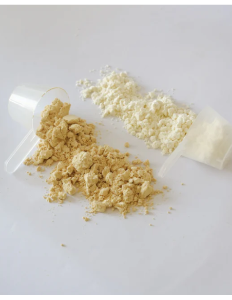 IVB PROTEÍNA VEGANA-20 tomas (línea GO&START)