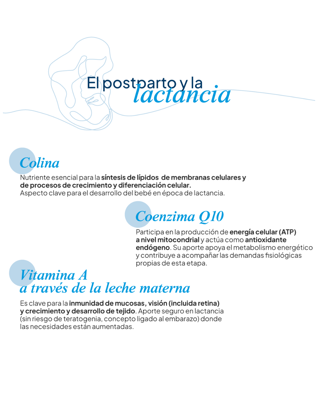 IVB LACTANATAL 60 Cápsulas