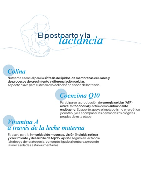 IVB LACTANATAL 60 Cápsulas