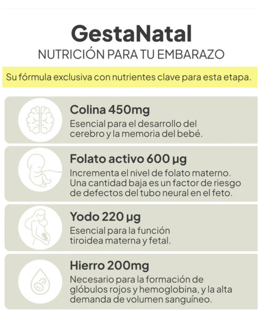 IVB GESTANATAL 60 cápsulas