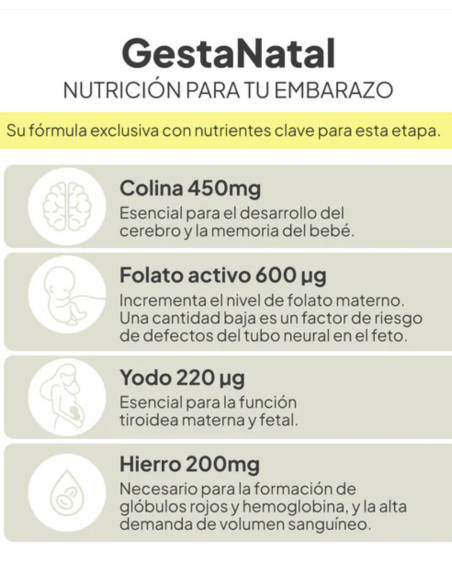 IVB GESTANATAL 60 cápsulas