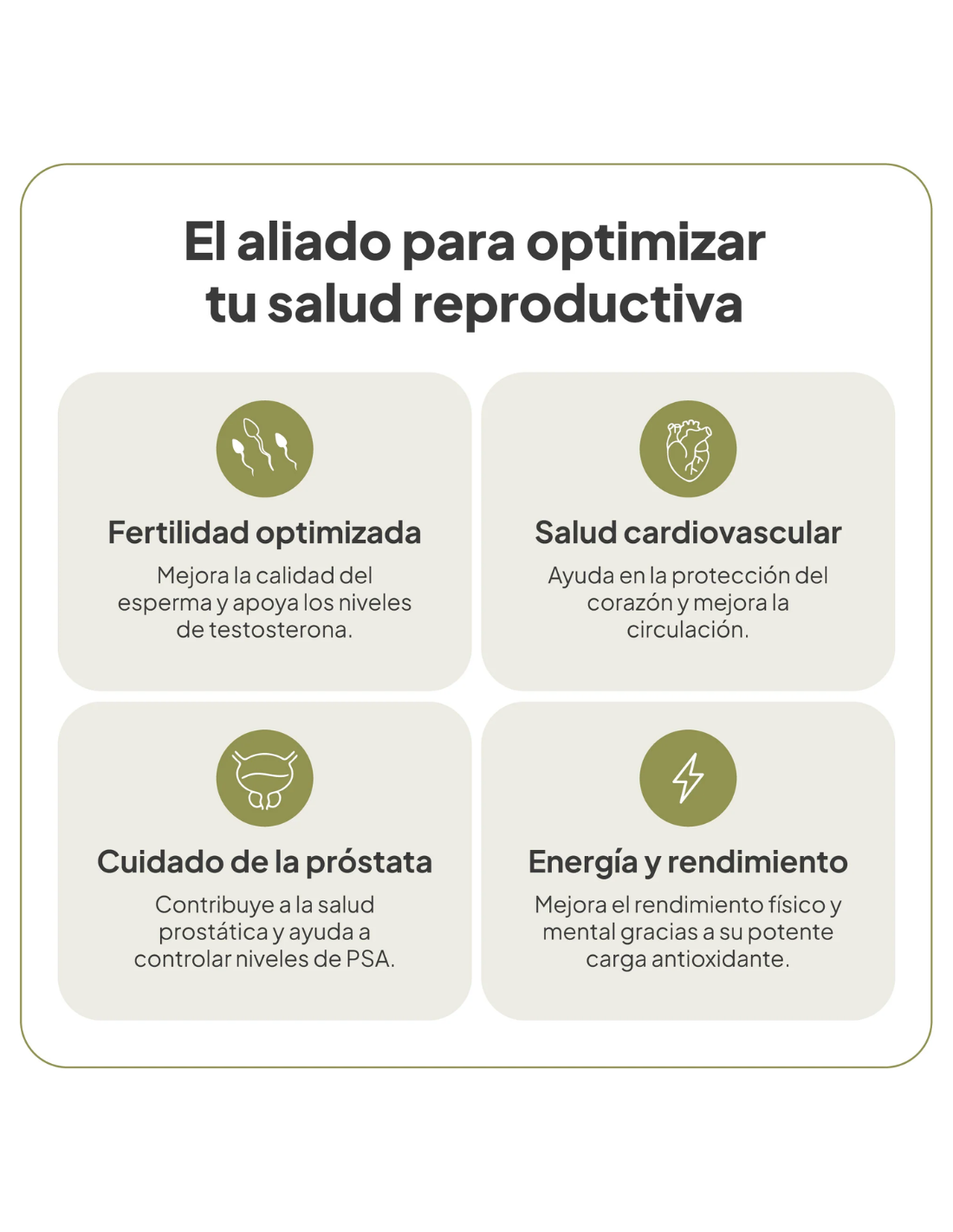 IVB VITALNATAL MAN 60 cápsulas