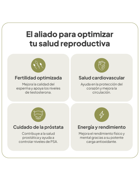 IVB VITALNATAL MAN 60 cápsulas