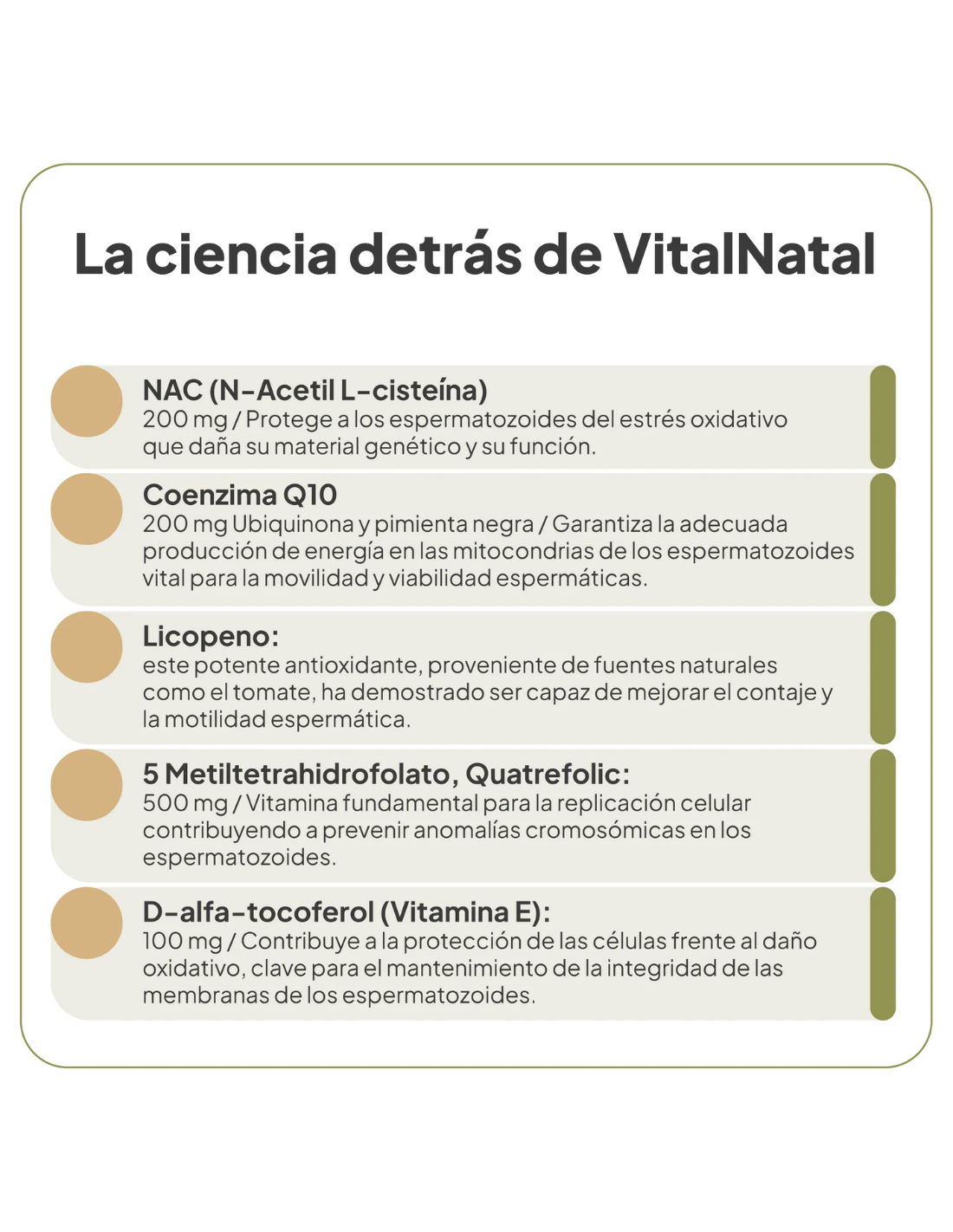 IVB VITALNATAL MAN 60 cápsulas