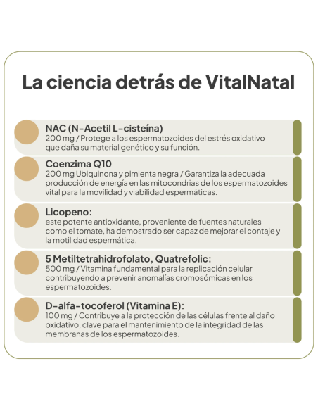 IVB VITALNATAL MAN 60 cápsulas