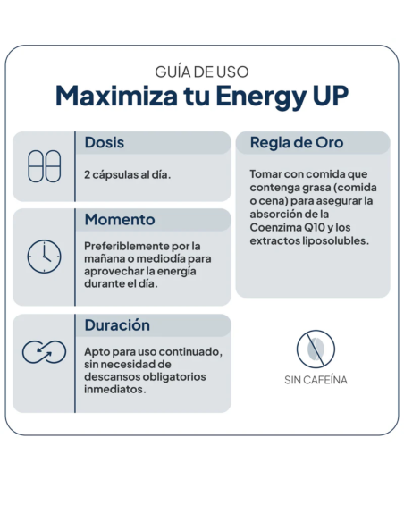 IVB ENERGY UP 60 cápsulas (1 mes de uso)