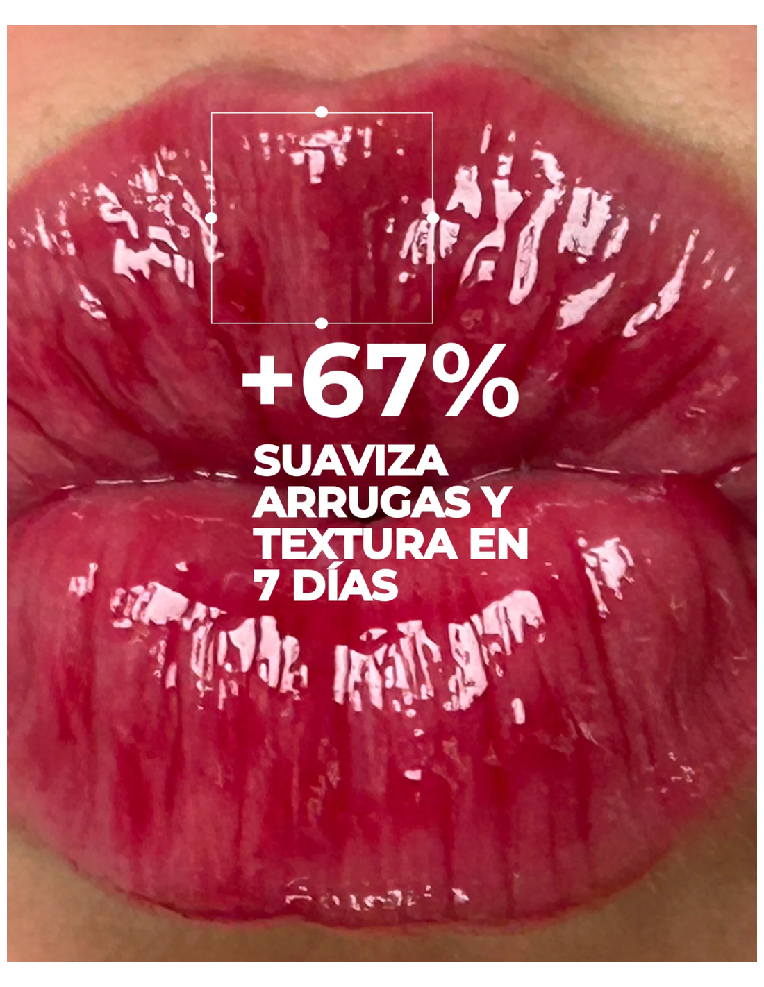 SEGLE LIP BALM ULTRA REPAIR MULLED WINE 10ml 2