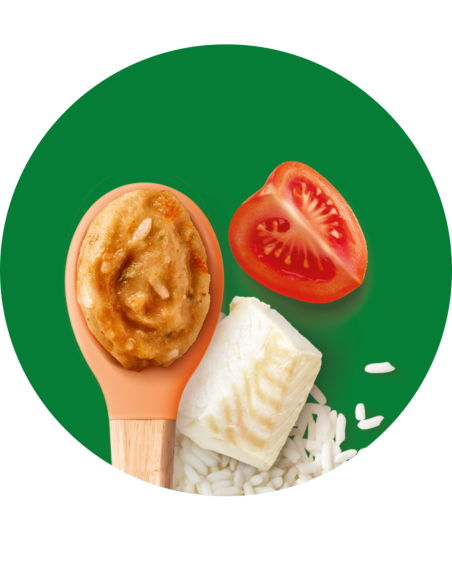 BLEDINA TARRITO DE TOMATE, ARROZ Y PESCADO BLANCO +8 meses 200 gramos