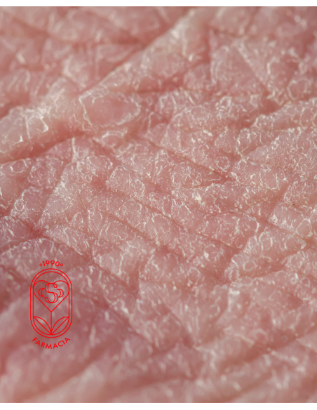 THE LAB JABÓN OZONIZADO DERMOHIGIENE 100 gramos