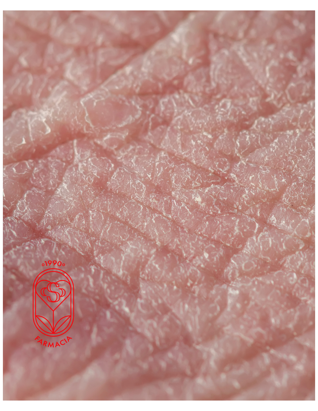 THE LAB ACEITE OZONIZADO RECUPERADOR 15ml