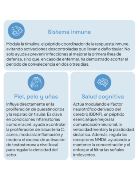 IVB ZINC PLUS 60 cápsulas