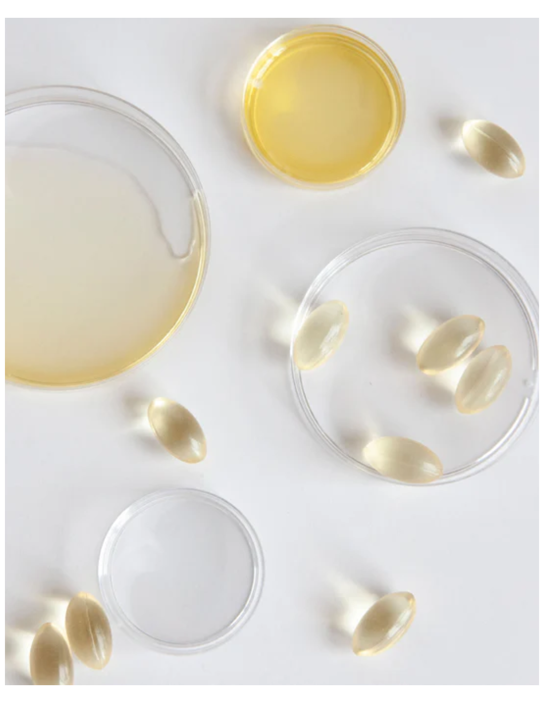 IVB VEGAN OMEGA 3+ 90 cápsulas (formato 3 meses)