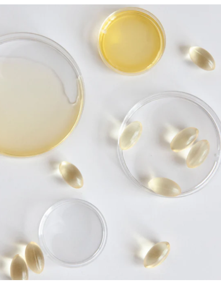 IVB VEGAN OMEGA 3+ 90 cápsulas (formato 3 meses)