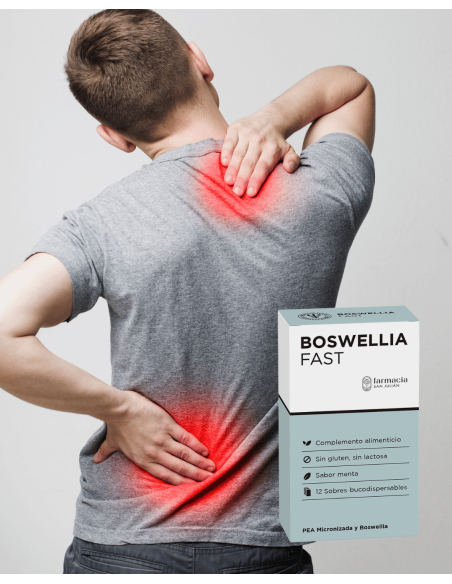 FSJ BOSWELLIA FAST 12 sticks bucodispersables