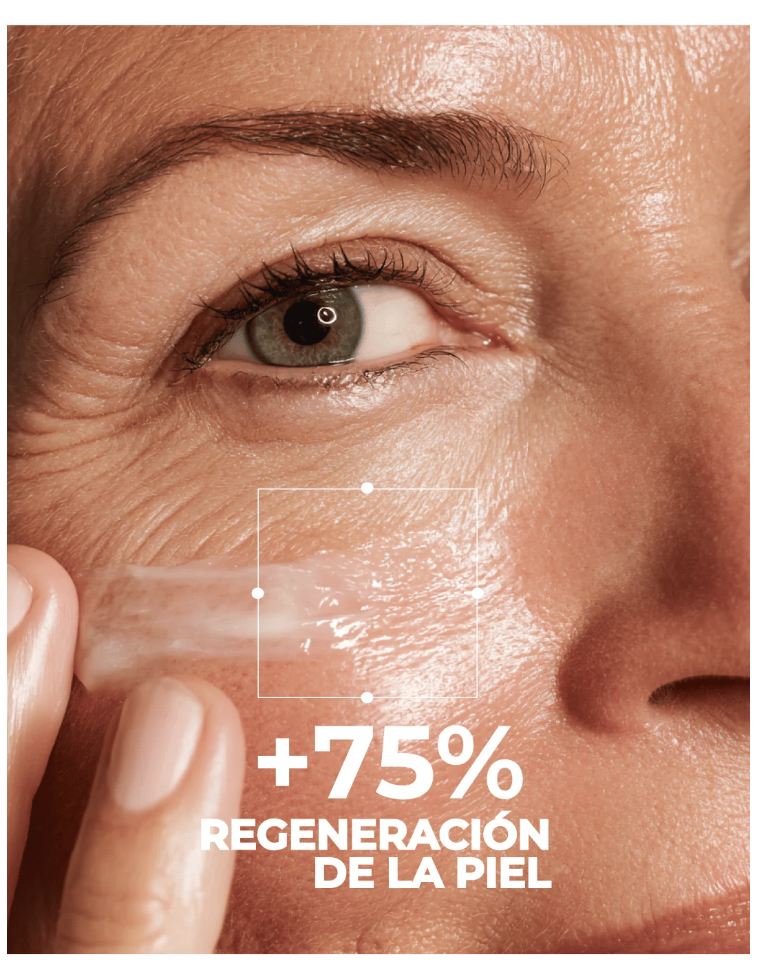 SEGLE COFRE ANTIAGING PIEL SENSIBLE SKIN FACTOR SERUM... 2