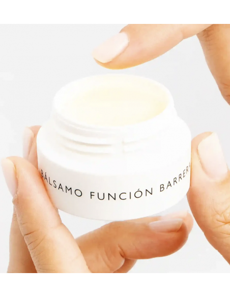 GH BÁLSAMO FUNCIÓN BARRERA MULTIUSOS 15 gramos